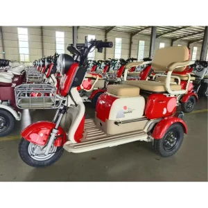 Electric Tricycles for Adults 600W 800W 1000W 3 Wheel Motorcycle Passenger Electric Tricycle
