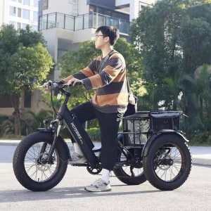 Electric Trike 3 Wheel Cargo Bike 48V Lithium Battery 500W 750W Rear Hub Motor Electric Cargo Bike