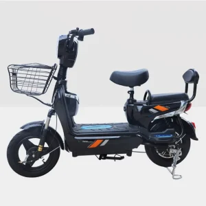 Electric With 350w Motor China Factory Off Road Cycling 14 inch Custom Electric Bicycle for Adults Electric Bicycle