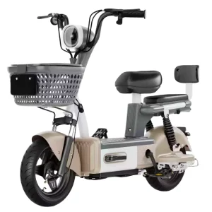 Electrical Bikes Bicycles for Adults 48V Electric Bicycle 350W Motor Electricity Bicycle With Capacity of 200Kg
