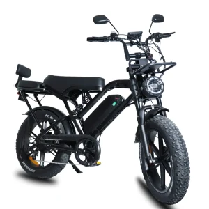 Elektro Bike Cruiser Bike V8 Ebike C80 Moto Electrica Dual Motor Kit Dual V8 250w Mountain Electric Bike City