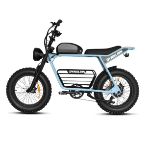 Emtb Electric Cycle Retro Electric Hybrid Bike E Bike Road Fat Tire E Bike Ebike Mountain Electric Dirt Bike