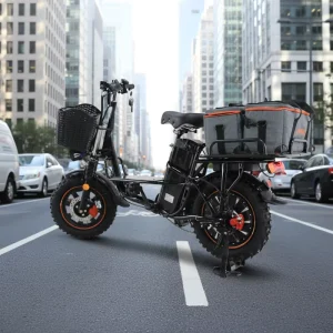 Energy Saving Brushless Full Suspension Super Fat Tire Electric Bike 750W-1000W 48V/52V MTB 21 Speed Disc Brake