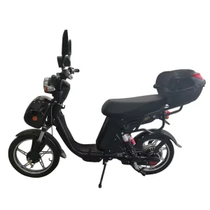 Environmental Friendly Electric Motorcycle Electric Bicycle 800 w Electric Bicycle