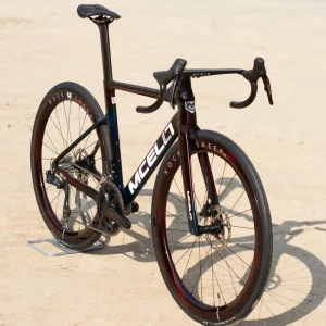 Ergonomic Full Carbon Fiber Hydraulic Disc Brake Bicycle All Weather Long Distance Racing Road Bike with Ordinary Pedal