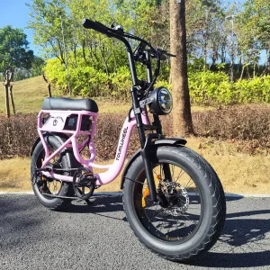 Eu Warehouse 20 Inch 48V Retro Ebike Bicycle Frame Fat Tire Snow E Fatbike Electric
