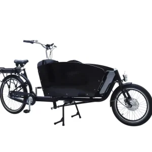 Eu Warehouse 250W Front Loading Dutch Cargo Bicycle 2 Wheel Family Use Cargo Bike Electric
