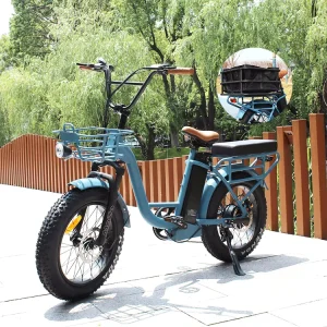 Europe Cargo Ebike Large Capacity Loading Long Distance Range 20 Inch Fat Tires Delivery Electric Bikes