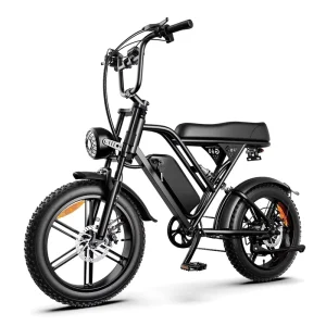 Europe Price 1000W 48V 20 Inch MTB Ebike Dirt E Sports Bike Adult Electric Fat Tire Mountain Bicycle EU Stock US Warehouse