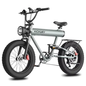 European Lo26 ii Aluminum Alloy Removable Lithium Battery Electric 20 Inch Fat Tyre Bike Fatbike 1000W