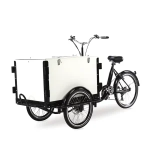 European Standard Duty FREE Family friendly Small Budget Portable Last mile Transport Electric Assist Delivery Cargo Bike