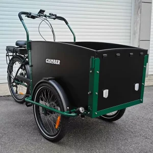 European Style Battery Powered Two Wheels Cargo Bike for Family