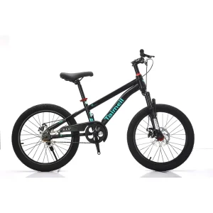 Exclusive Cross border 16 18 20 22 inch Single speed Dual disc Brake High carbon Steel Mountain Bikes for Boys Girls Aged 6-15