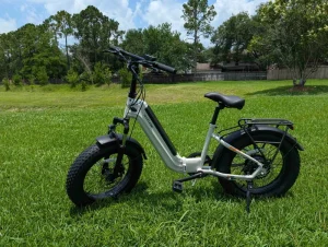 F008 48V 20-Inch Foldable Electric Bicycle, Fat-Tire Electric Bicycle with Integrated Removable Battery