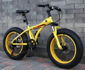 Factory 20 Inch Fat Tyre Snow Beach Cruiser Bike Bicycle