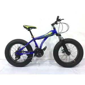 Factory 21-Speed 18/20/22/24 Inch Fat Tire Mountain Bikes for Kids Steel Fork Disc Brake Soft-tail Frame 4.0 Tire