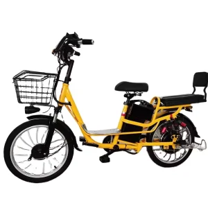 Factory 22 Inch Electric Cargo Bike with Fat Tire 48V 350W 500W Electric Bike Dual Lead Acid Battery Steel Frame