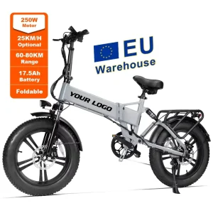 Factory 750W 48V 17.2Ah Lithium Battery Aluminum Alloy Shimano 7-Speed 20-Inch Folding Fat Tire Electric City Bike