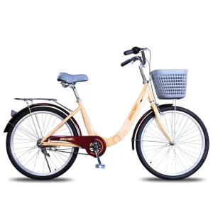 Factory BDF Traditional Bicycle 20 22 24 26 City Bike Woman Single Speed Bicycles with Real Seat