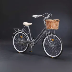 Factory Best Sale 26 Inch Single Speed Steel Frame Beach Cruiser Bike Coaster Brake Women’s Commuter Bicycle for Leisure City