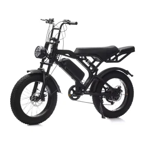Factory Bicicletas Fat Tire Ebike Electric Bicycle Black Cycling Electric Fat Tire Bike for Adults