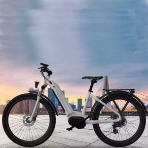 Factory Custom Bafang Ebike 48v Mid Drive Electric City Bike with Hidden Lithium Battery Hot Sales Bikes
