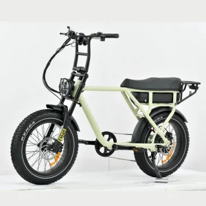 Factory Custom Retro Fat Tire Adult Ebike Mountain Fat Tire Off road Sport Electric City Bike Fatbike