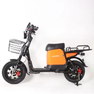 Factory Defeima Many Colors 16 Inches U3 Electric Bicycles for Cargo With Big Battery 60V65Ah