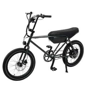 Factory Direct 20 Inch Electric Bike City Commute Long Range For Adult