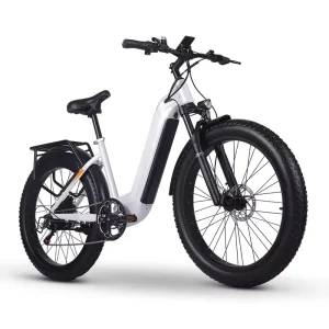 Factory Direct 26 Inch Fat Tire Electric Bicycle All Terrain City E Bike 1000W Rear Hub Motor 7 Speed Lithium Battery