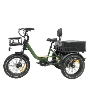 Factory Direct 3 Wheel Cargo Electric Bike with 1000W Mid Motor Aluminum Alloy Frame and 48v Central Motor Fat Tire Trike