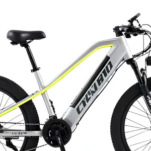 Factory Direct Aluminum Frame 7 Speed Transmission Gilur Tires High End Version Electric Mountain Bike Customizable