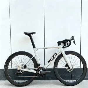 Factory Direct Carbon Fiber Racing Road Bike Shi Mano UT 8020 22s Hydraulic Disc Brake OEM CE