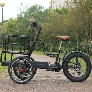 Factory Direct Cargo Bike Electric 250W Front 3 Wheel Electric Cargo Bike 7 Speed Electric Tricycle