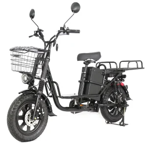 Factory Direct Electric Bike 60V 21Ah Lithium Battery 16 Inch 800W 1000W 1200W City Food Delivery Cargo Electric Bicycle