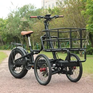 Factory Direct Electric Cargo Bikes for Sale Front Load Electric Cargo Bike Electric 3 Wheel Bike Adults