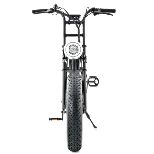 Factory Direct High Qualtity E Bikes Fat Tire Mountain Bike Men’s Electric Bicycle with CE Certificate