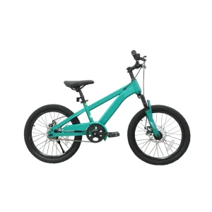 Factory Direct New Boys Girls Children’s Mtb Bicycle 18 22 Inch 7 16 Year Old One Speed Kids Mountain Bike