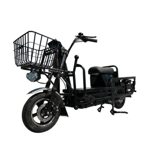Factory Direct Price Loader 500KG Cargo Electric Bike Motorcycle Delivery Lithium Lead acid Motorcycle