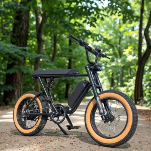 Factory Direct Sale 20×4.0 Inch Fat Tire Ebike Full Suspension Frame Electric Dirt Bike Mountain Bike Fast Electric Bike