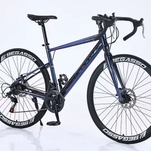 Factory Direct Sale 700c High Carbon Steel Racing Cycle Frame 21 Speed Disc Brake Road Gravel Bike Customized Color Men