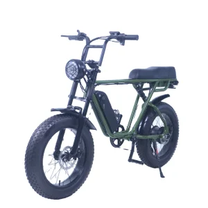 Factory Direct Sale Outdoor Mountain Electrically Bike Bicycle Electric Motor Fat Tire Ebike Electric Bikes for Adults