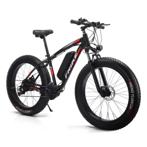 Factory Direct Sales FRIKE E bike 48V Electric Bike Electric Bicycle for Adult 1000W Electric Bicycle for Adult