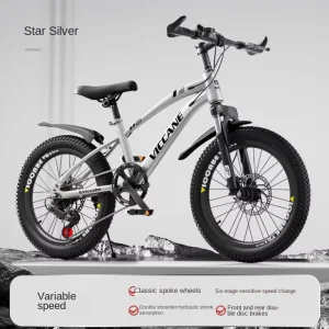 Factory Direct Sales Youth Geared Mountain Bikes with 6-Speed Dual Disc Brakes Carbon Steel Frame Lightweight Eco-Friendly