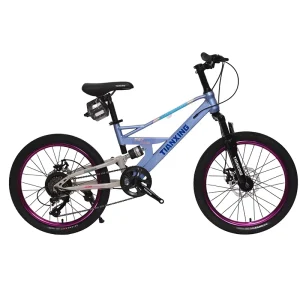 Factory Direct Supply 20 Inch Youth Mountain Bike with Suspension Fork Mechanical Disc Brake OEM Manufacturer