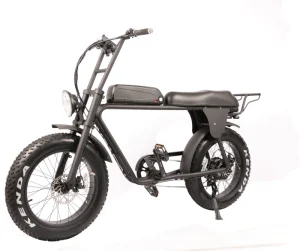 Factory Direct Supply Fat Tire Electric Bicycle With Lithium Battery