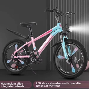 Factory Direct Supply Road Bike 20 Inch 22 Inch 24 Speed Steel Fork Teen Kids Student Youth Bicycle