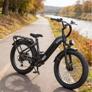 Factory Directly Customized & Shipped Electric Bicycle 48V500W Seven Speed Fat Tires Shock Absorption Dual Disc Brake