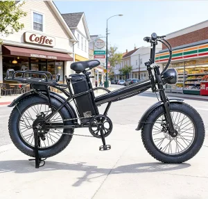 Factory Directly Customized & Shipped Electric Multifunctional Bike 48V 500W Fat Tires Rear Luggage Rack Dual Disc Brake