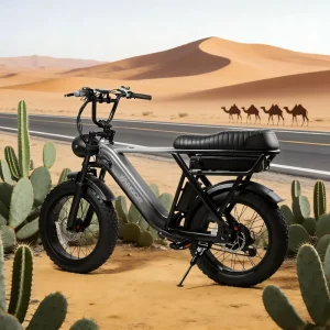 Factory Electronic Steel Frame Electric Bike Range 250KM Support Custom OEM ODM 7 Speed Fat Tires Adult City Bike